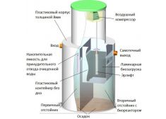 Панда Киота 20